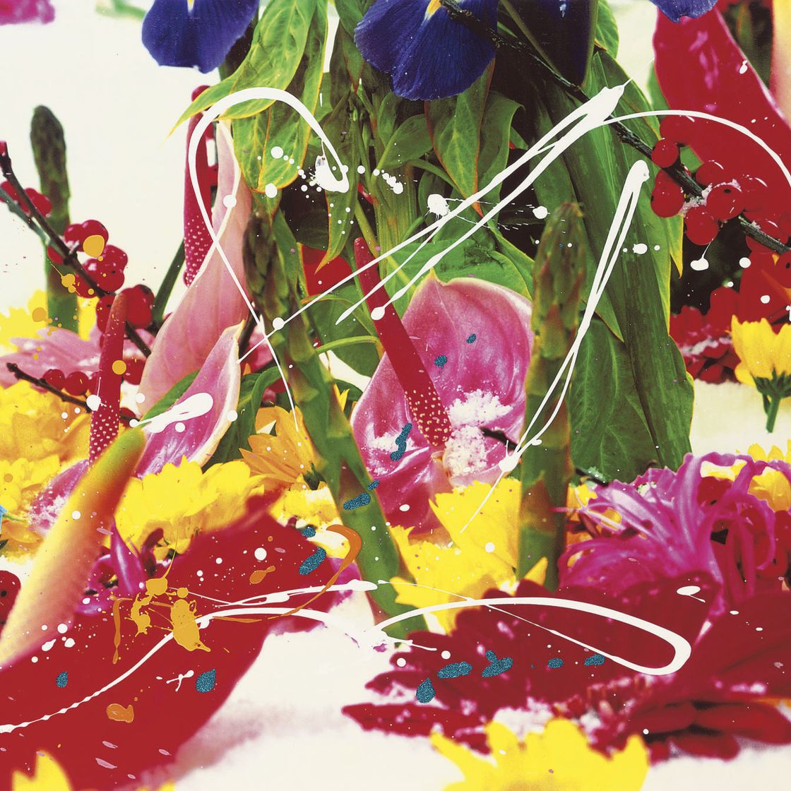 Marc Quinn — Без названия 05
