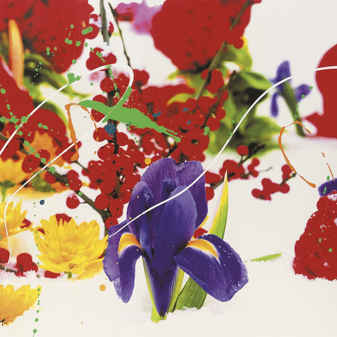 Marc Quinn — Без названия 06