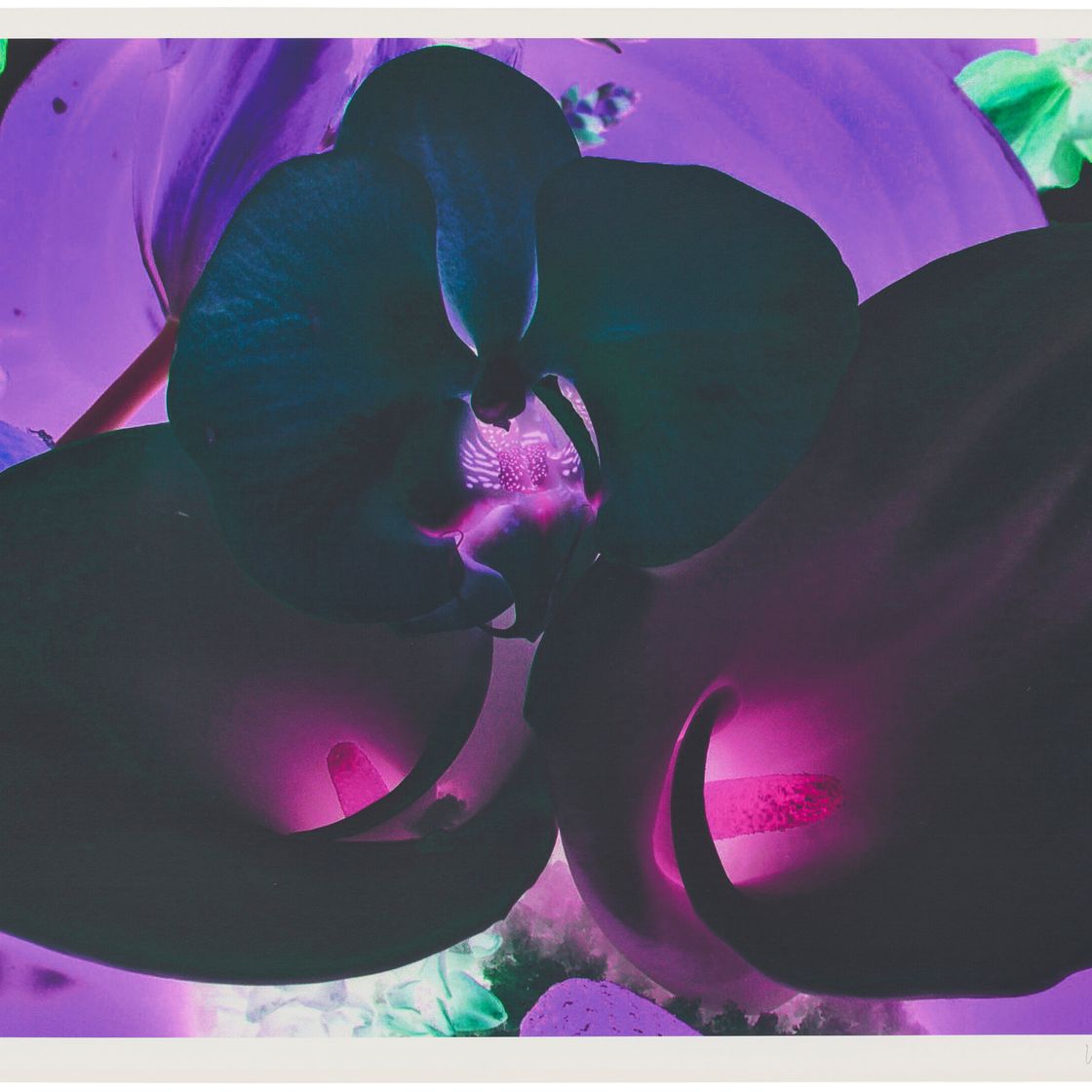 Marc Quinn — Фото 6, из фильма "На дальних окраинах Вселенной"
