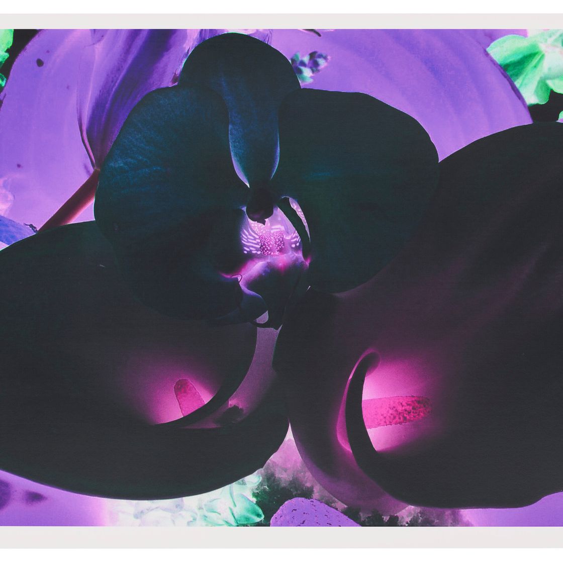 Marc Quinn — Фото 6, из фильма "На дальних окраинах Вселенной"