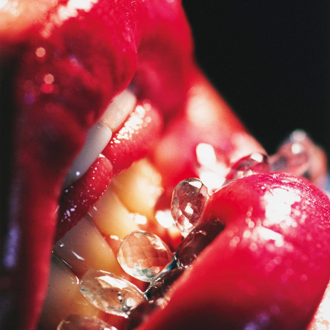 Marilyn Minter — Уздечка