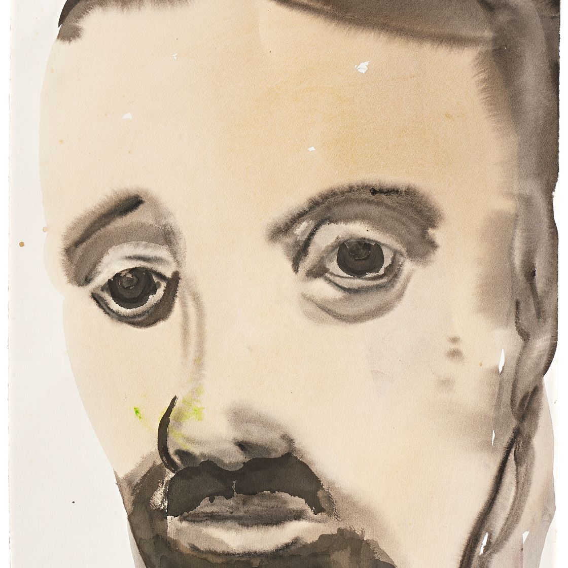 Marlene Dumas — Бледное лицо е