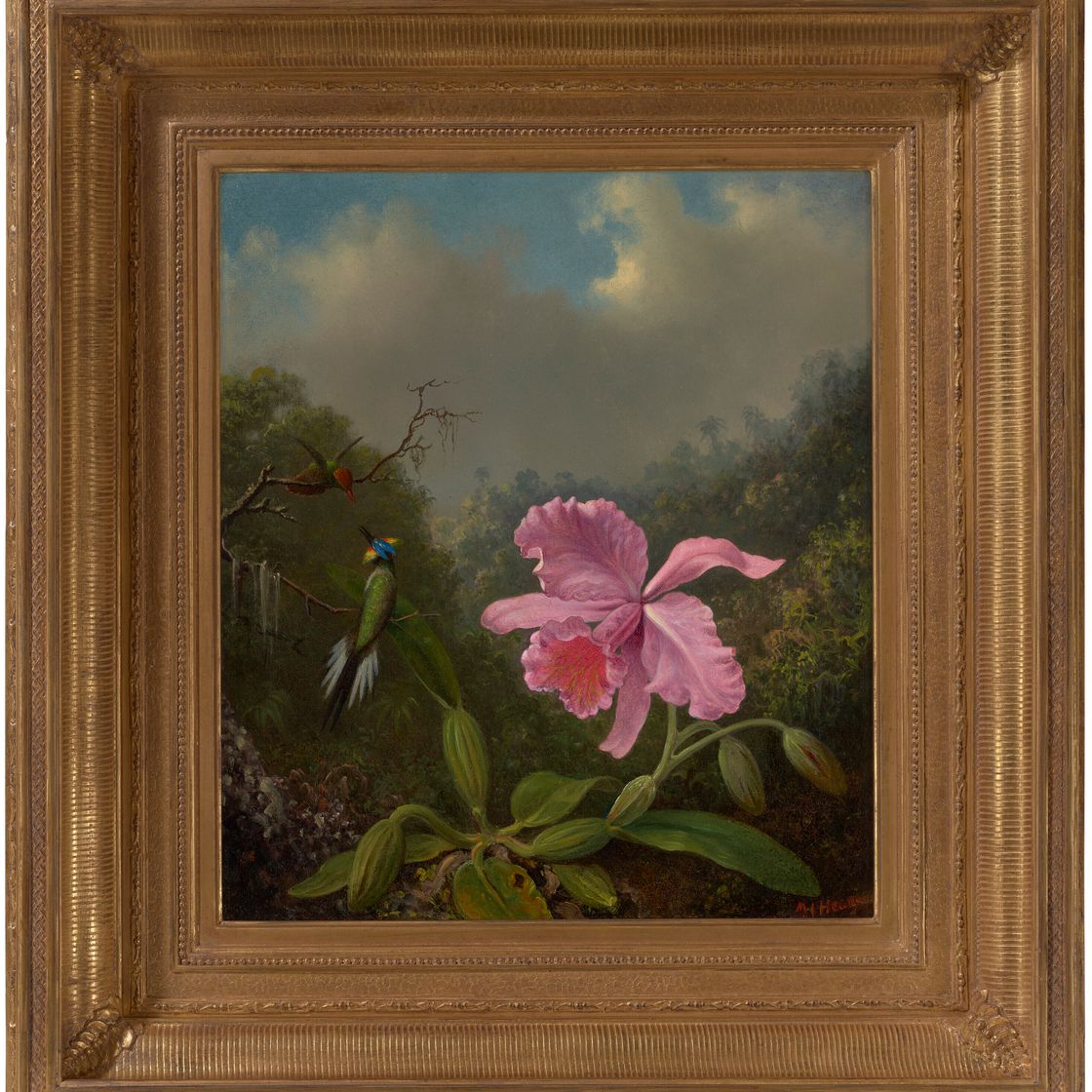 Martin Johnson Heade — Борьба с колибри с помощью розовой орхидеи, изображение 2