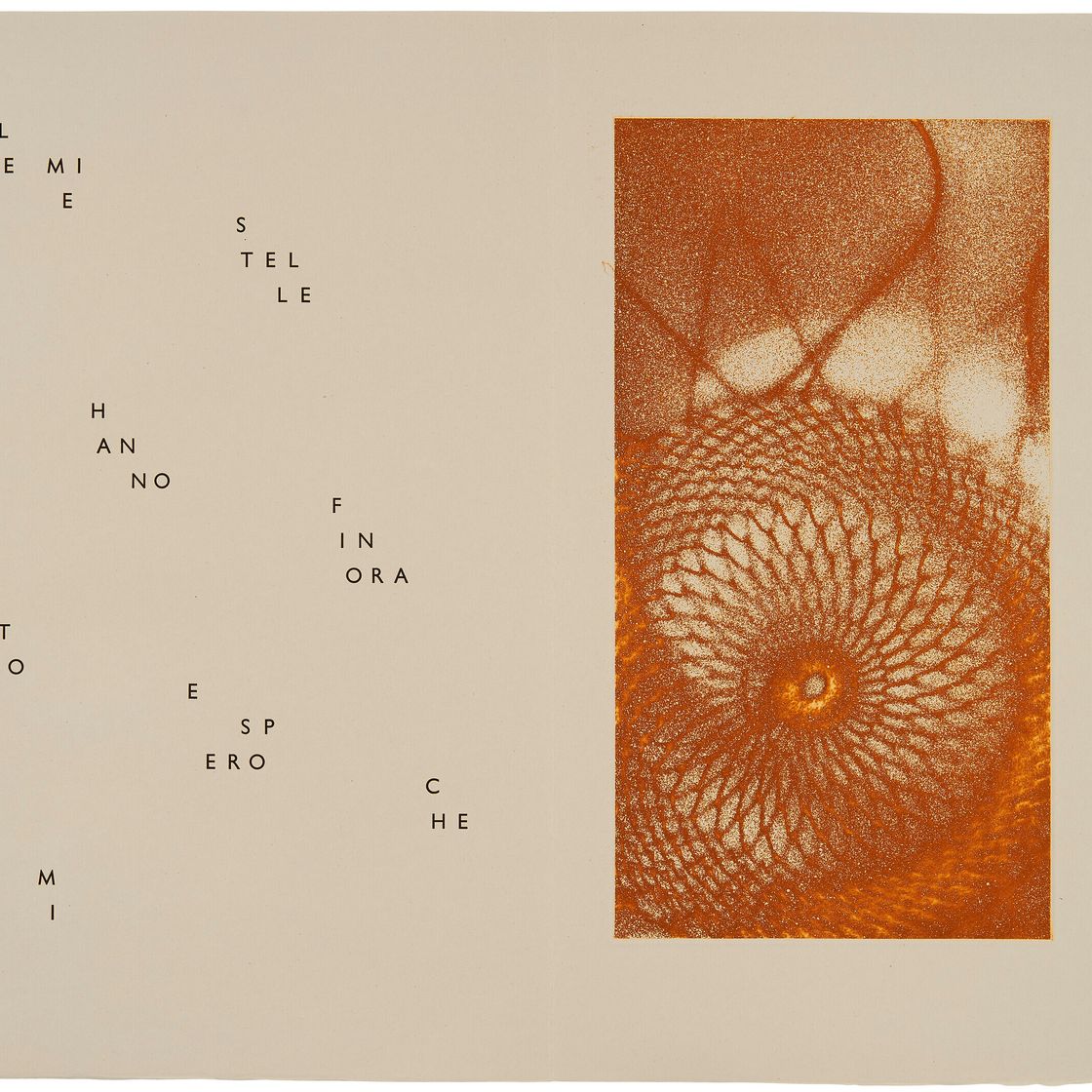 Max Ernst — Гийом Темпель, Максимилиана, вы занимаетесь астрономией, изображение 3