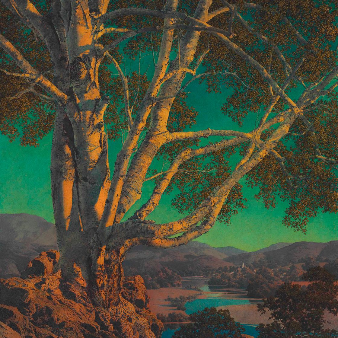 Maxfield Parrish — Старая белая береза
