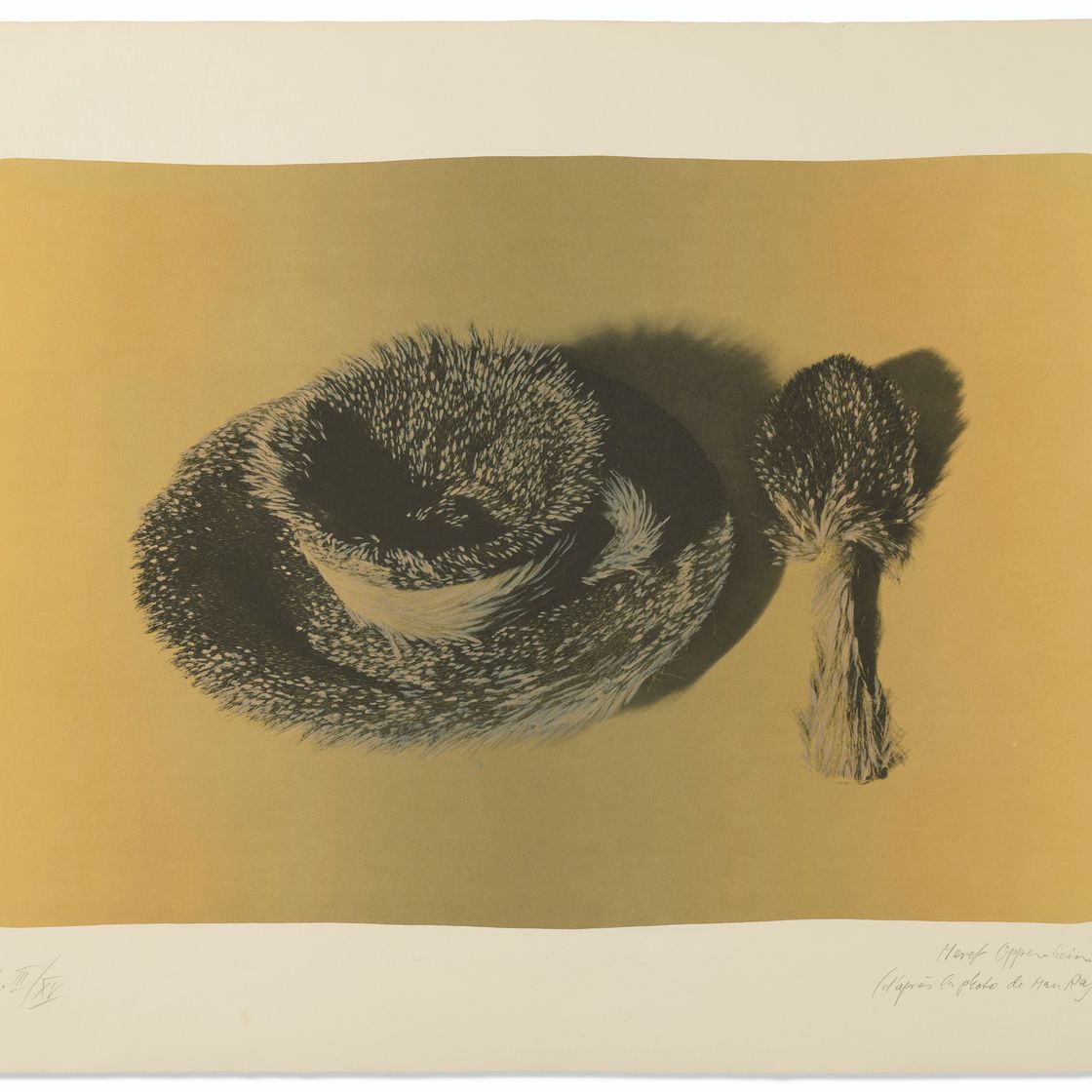 Méret Oppenheim — Пельцтассе (желтый фонд), изображение 1