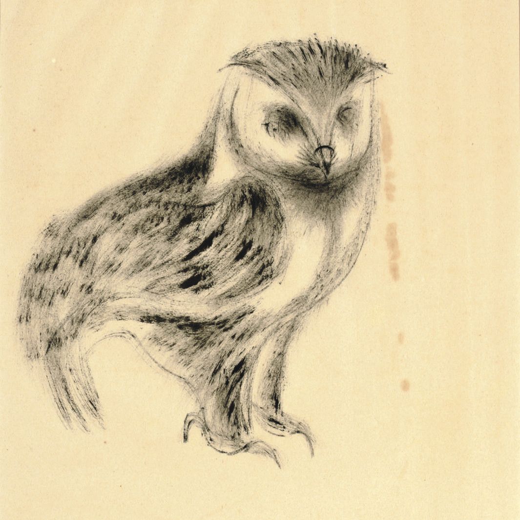 Morris Graves — Сова