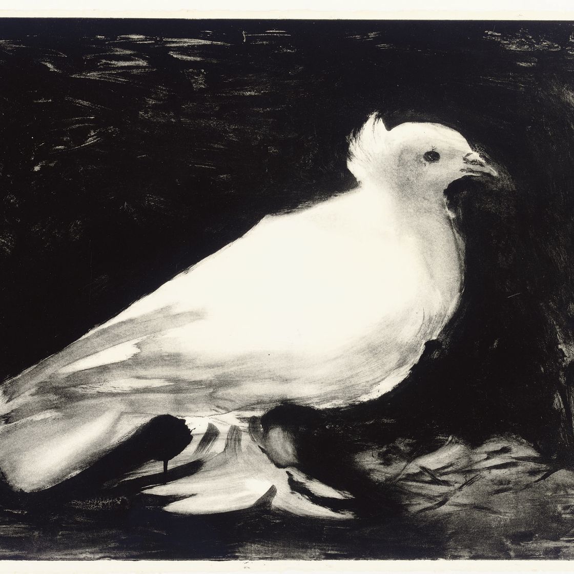 Pablo Picasso — Ла Коломб (В. 583; М. 141)