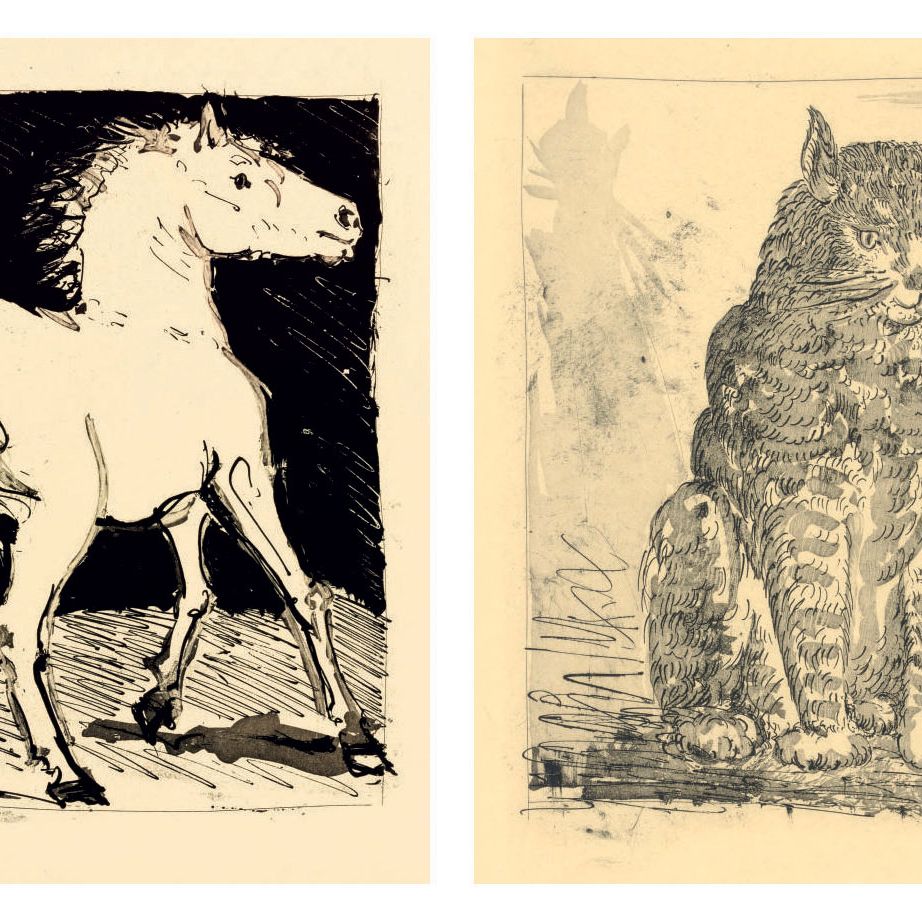 Pablo Picasso — Оригинальные туалетные воды для текстов Буффона, М. Фабиани, Париж, 1942 (стр. 328-358; Ba. 575-605; C. books 37)