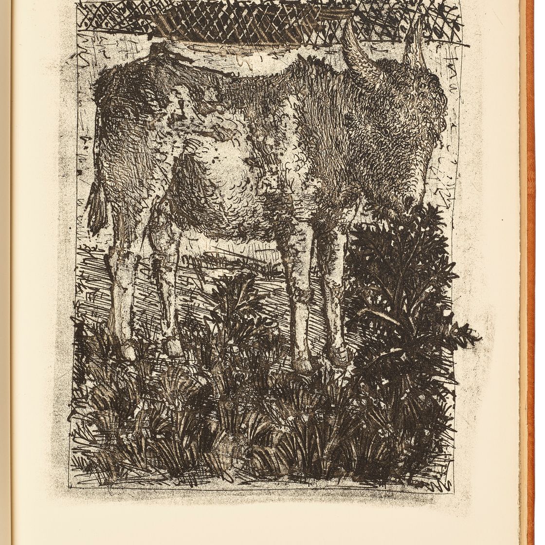 Pablo Picasso — Оригинальные коньячные спирты для текстов Буффона (Естественная история), изображение 2