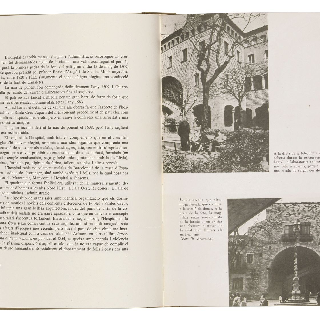 Pablo Picasso — Бюст человека-барбу во вводной части, изображение 2