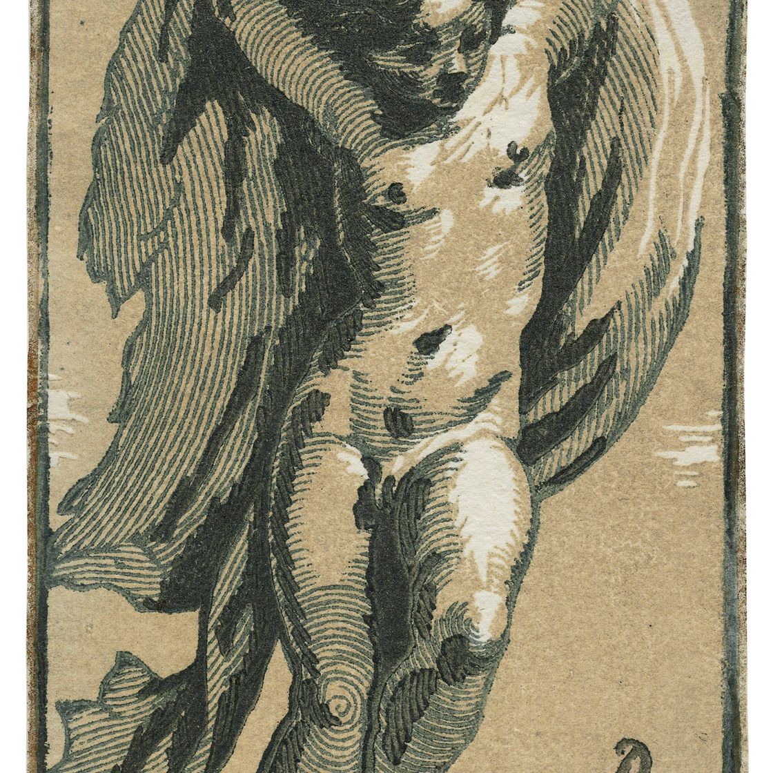 Parmigianino — Крылатый гений