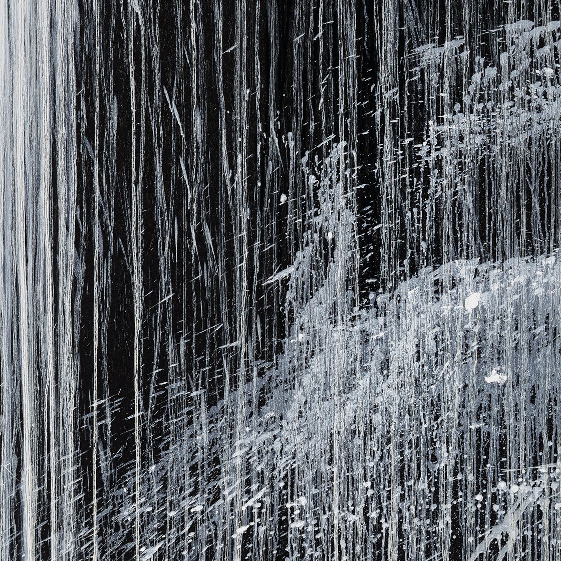 Pat Steir — Водопад Присциллы, изображение 3