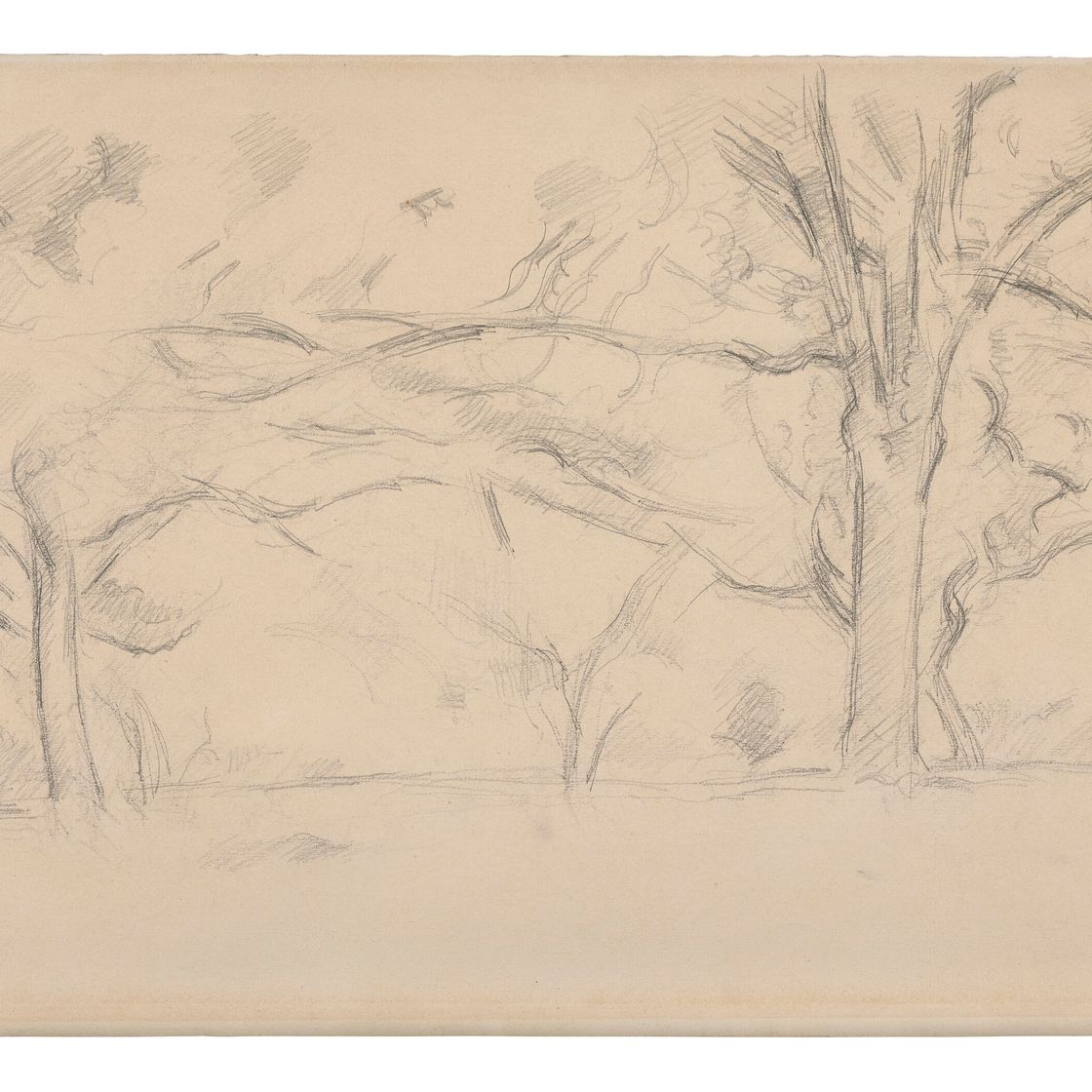 Paul Cézanne — Деревья, изображение 2