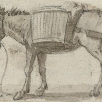Paul Sandby — Исследование осла