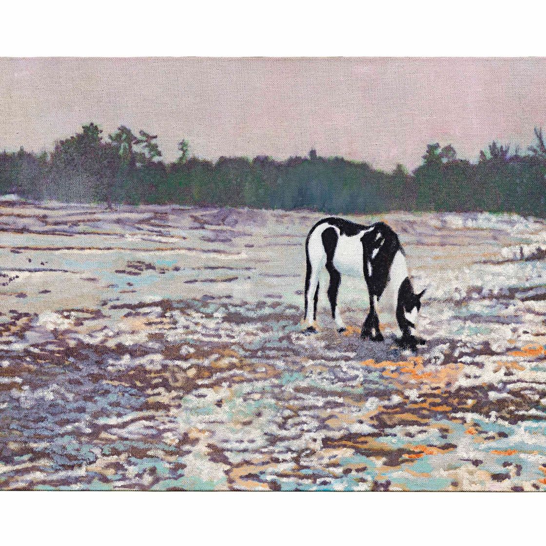 Peter Doig — Пинто