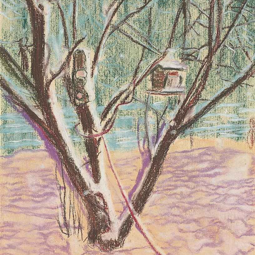 Peter Doig — Скворечник