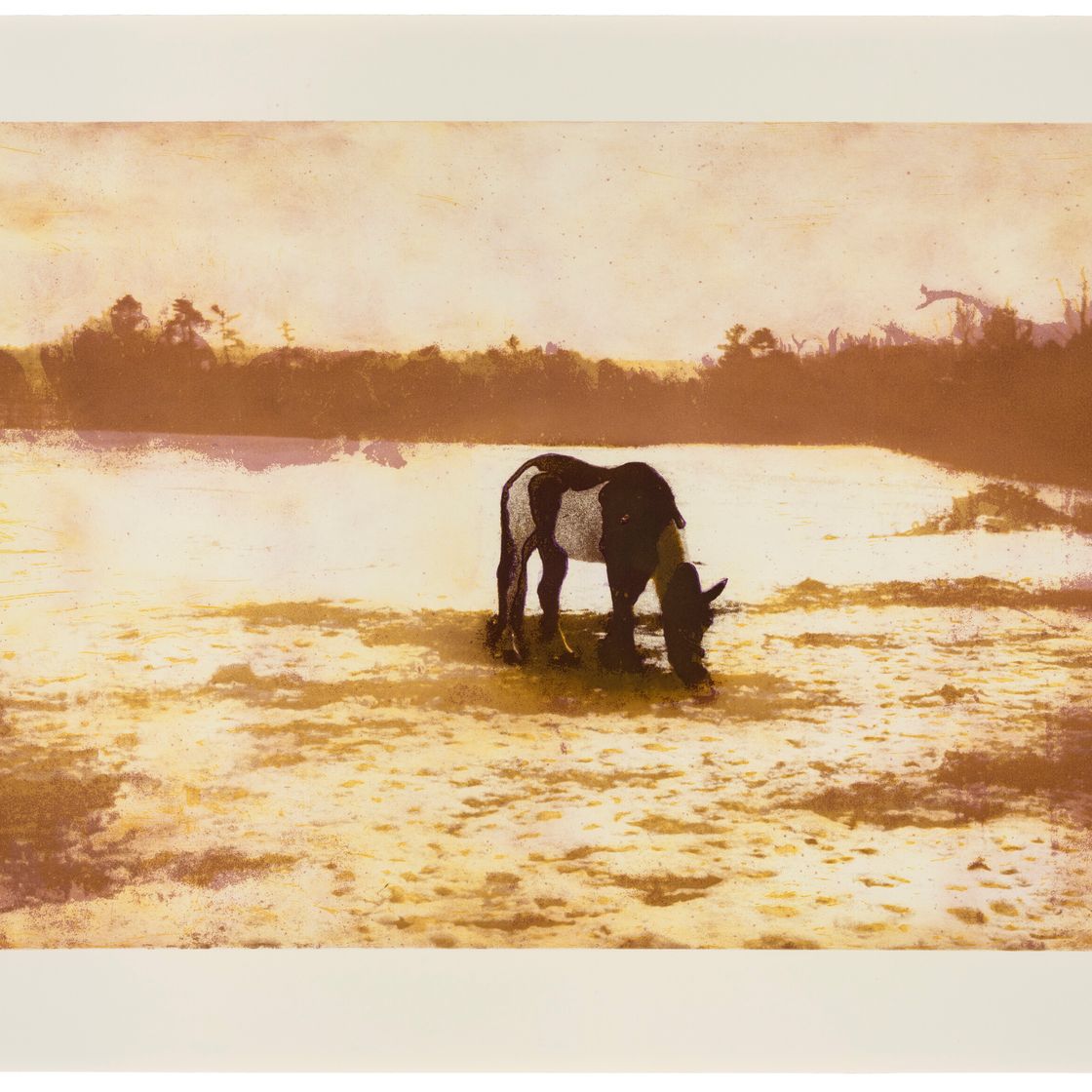 Peter Doig — Пинто, откуда: 100 лет назад