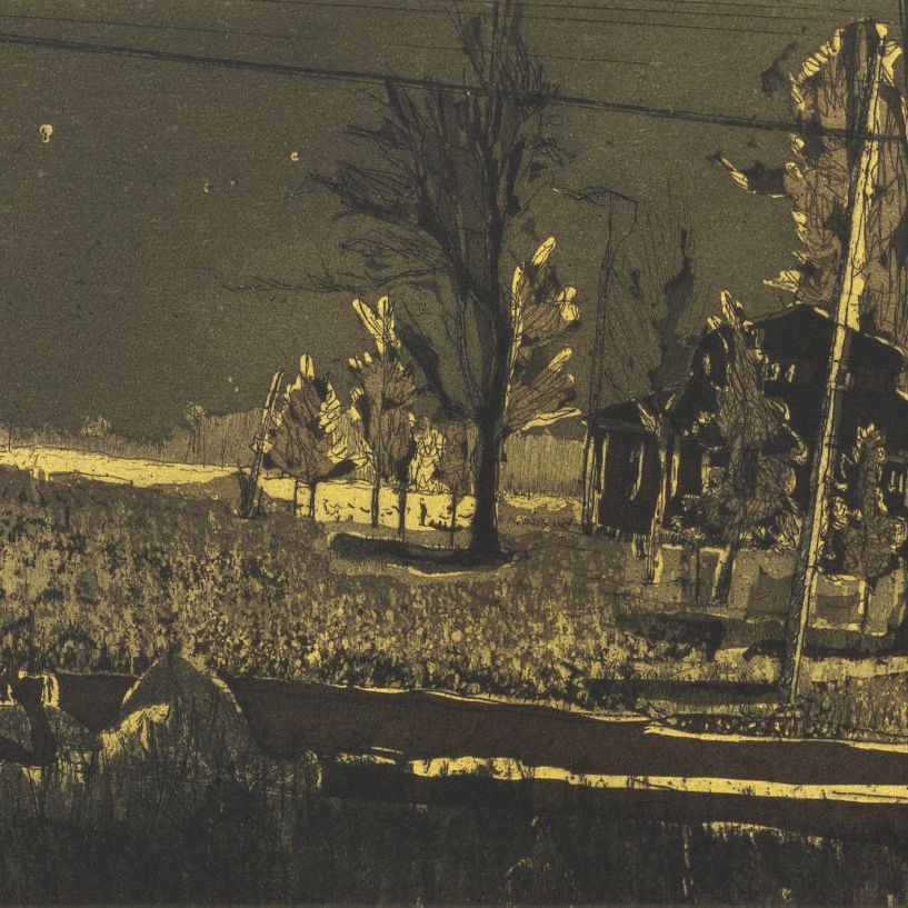 Peter Doig — Дневная астрономия