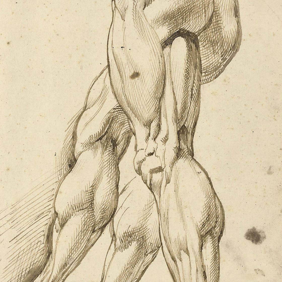 Peter Paul Rubens — Этюд обнаженного мужчины в стиле экорше с дополнительным исследованием правой ноги