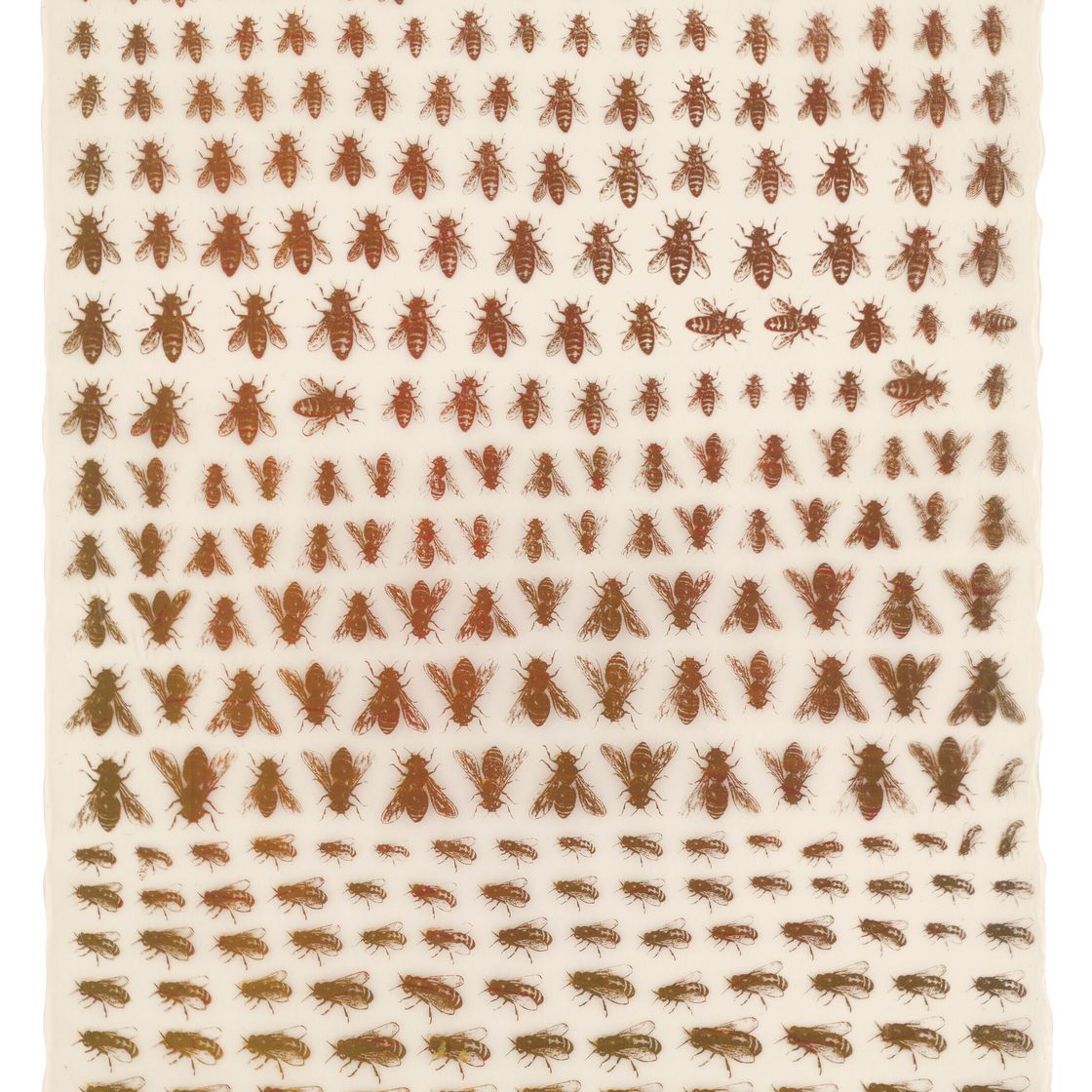 Philip Taaffe — Без названия