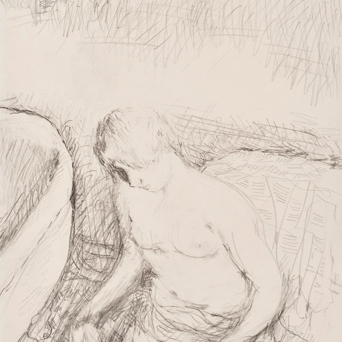 Pierre Bonnard — Молодая женщина с туалетом, изображение 1