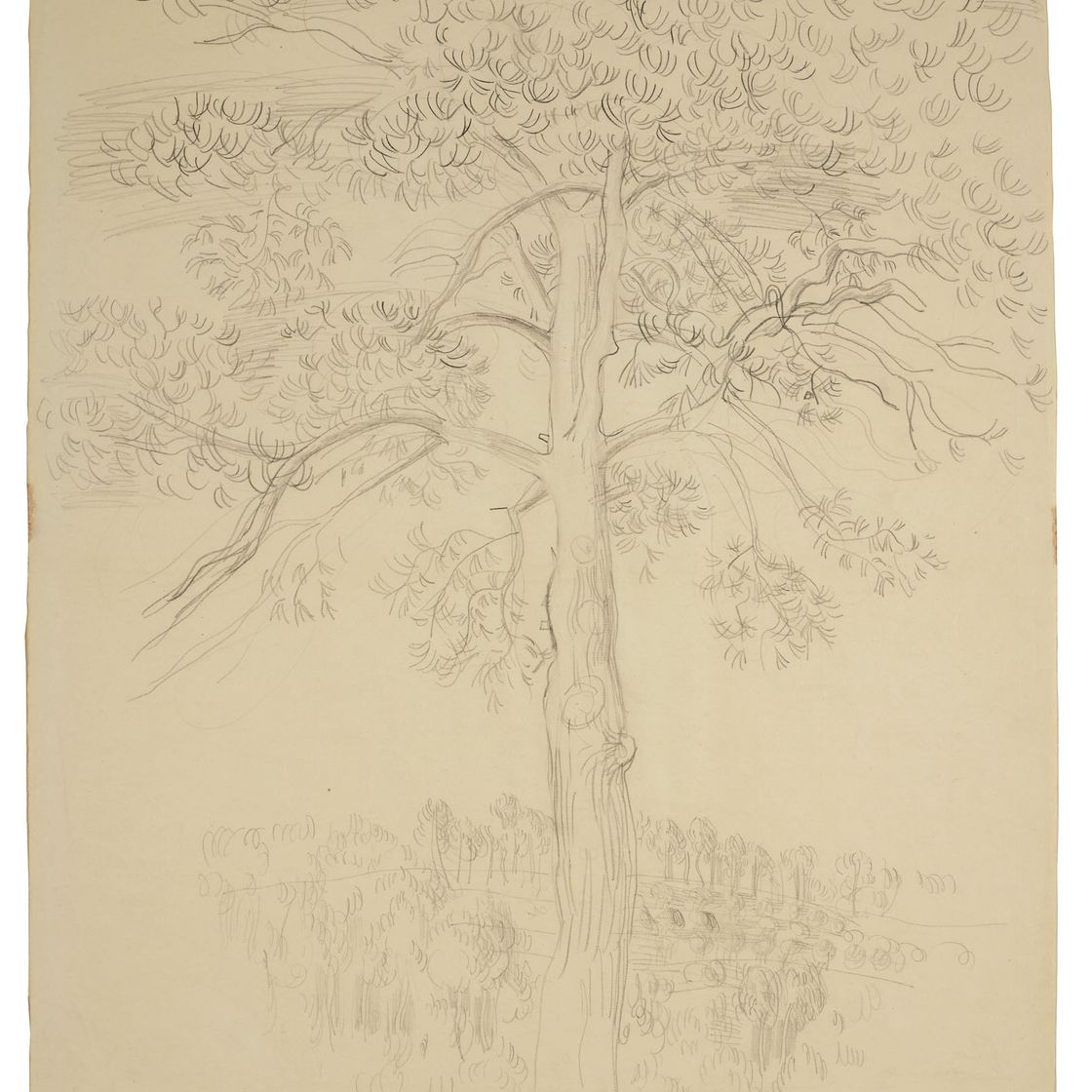 Raoul Dufy — Le Pin, изображение 1