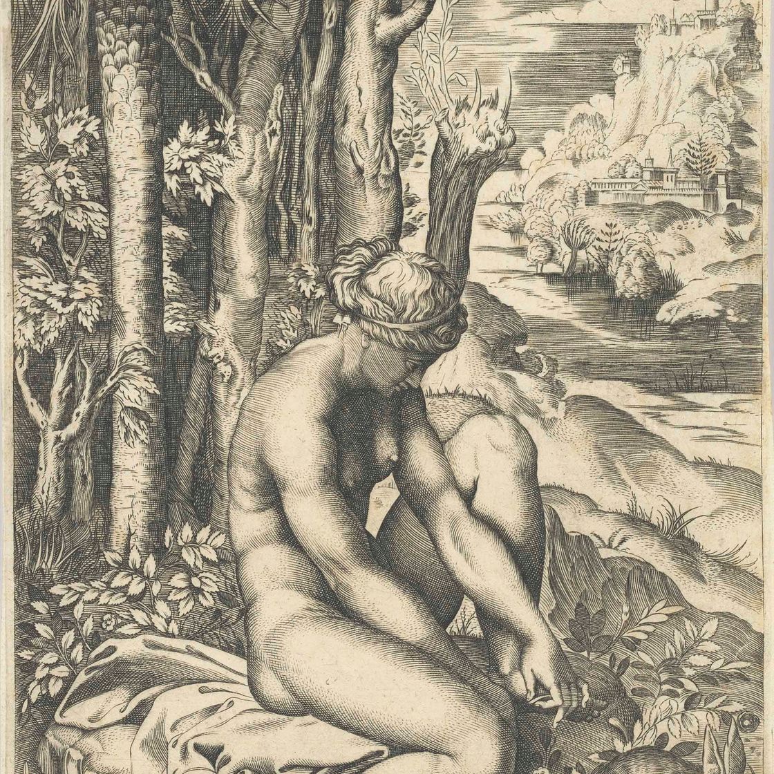 Raphael — Venus wounded by the Rose's Thorn (Bartsch 321)