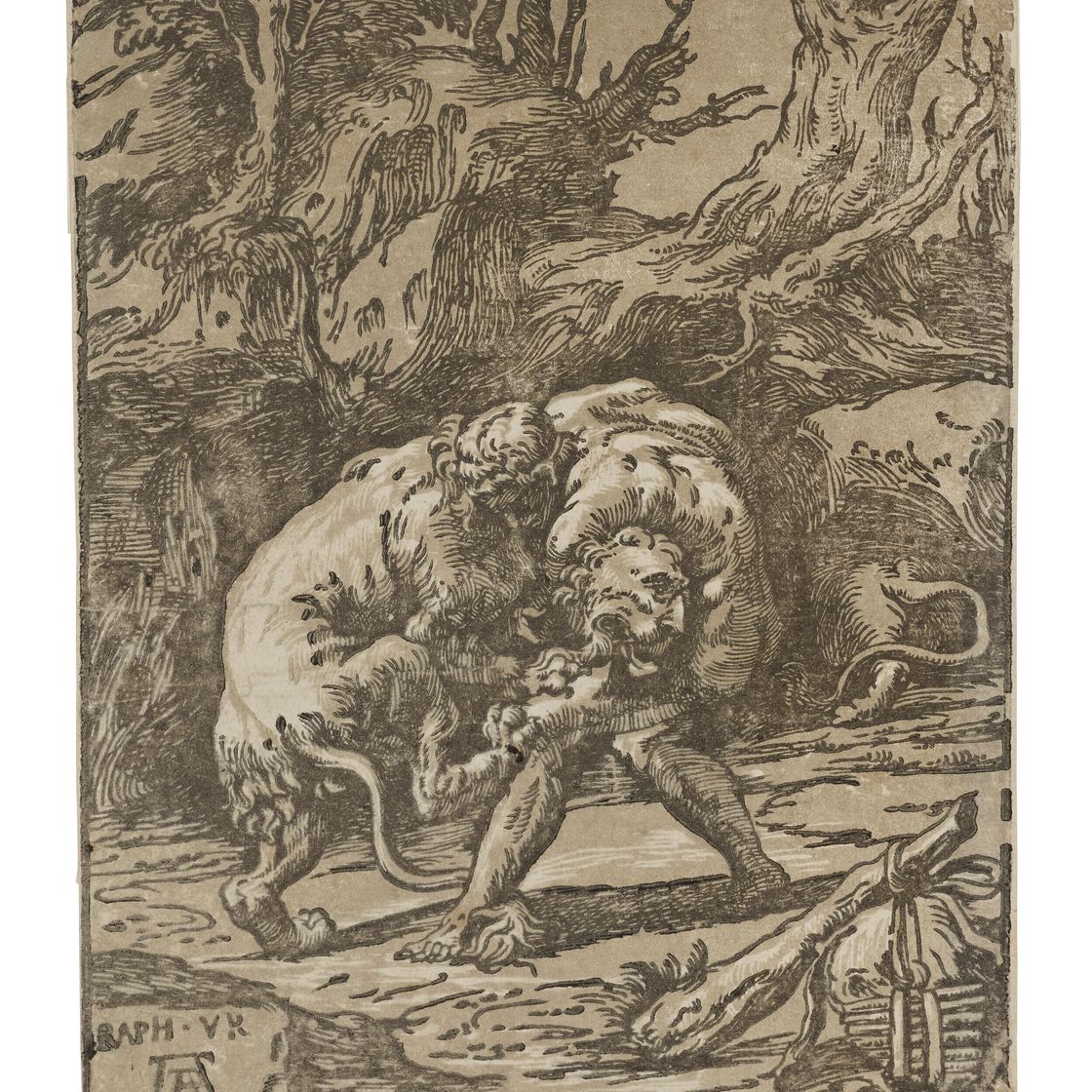 Raphael — Hercules and the Nemean Lion