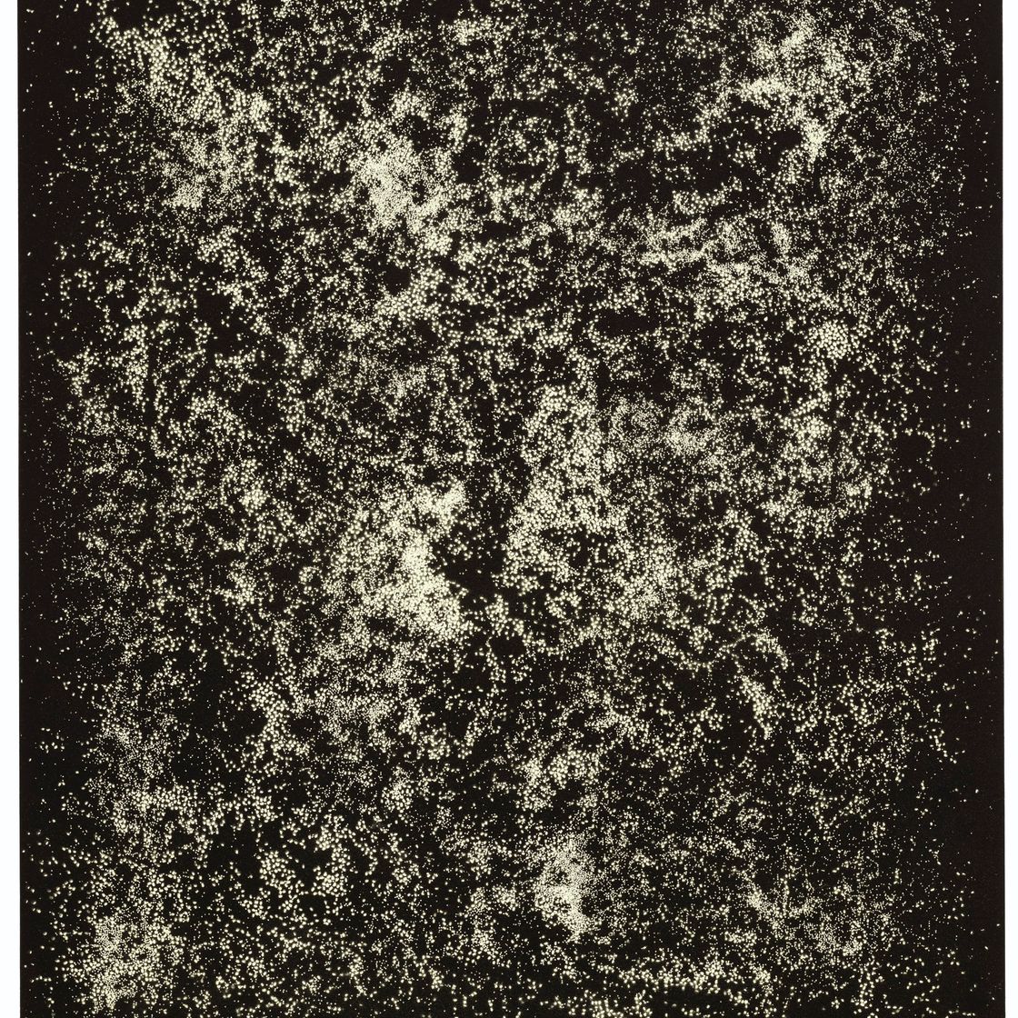 Rashid Johnson — Death in Outer Space