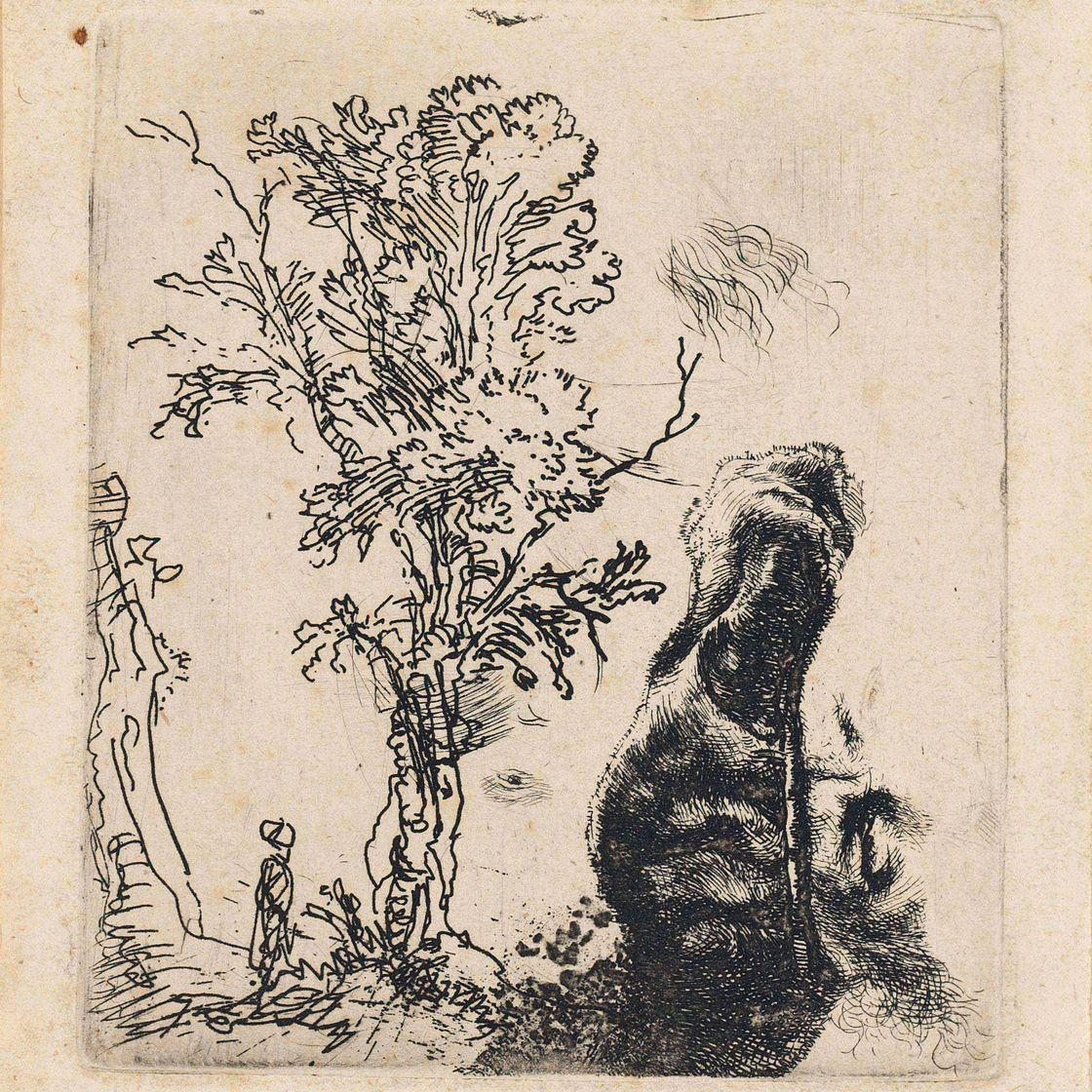 Rembrandt van Rijn — Лист с двумя этюдами: Дерево и верхняя часть головы художника в бархатной шапочке (Б., Зал. 372; Н. 155)