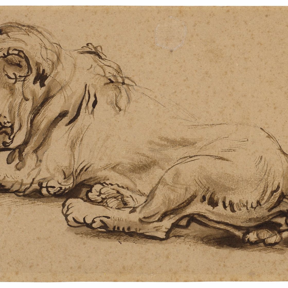 Rembrandt van Rijn — Лежащий лев