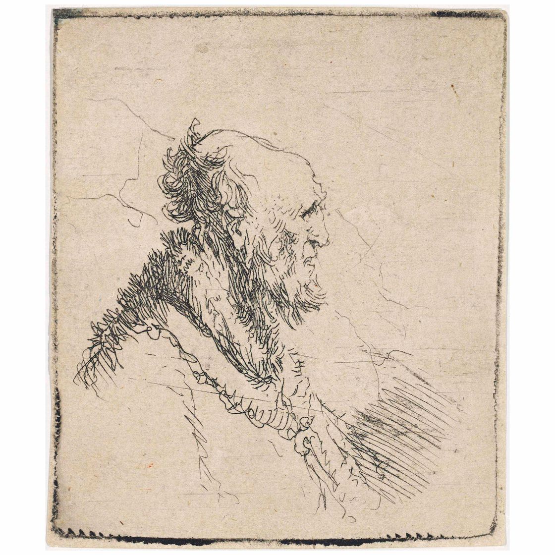 Rembrandt van Rijn — Лысый старик с короткой бородкой, справа в профиль (Б., Зал. 306; Н. 136)