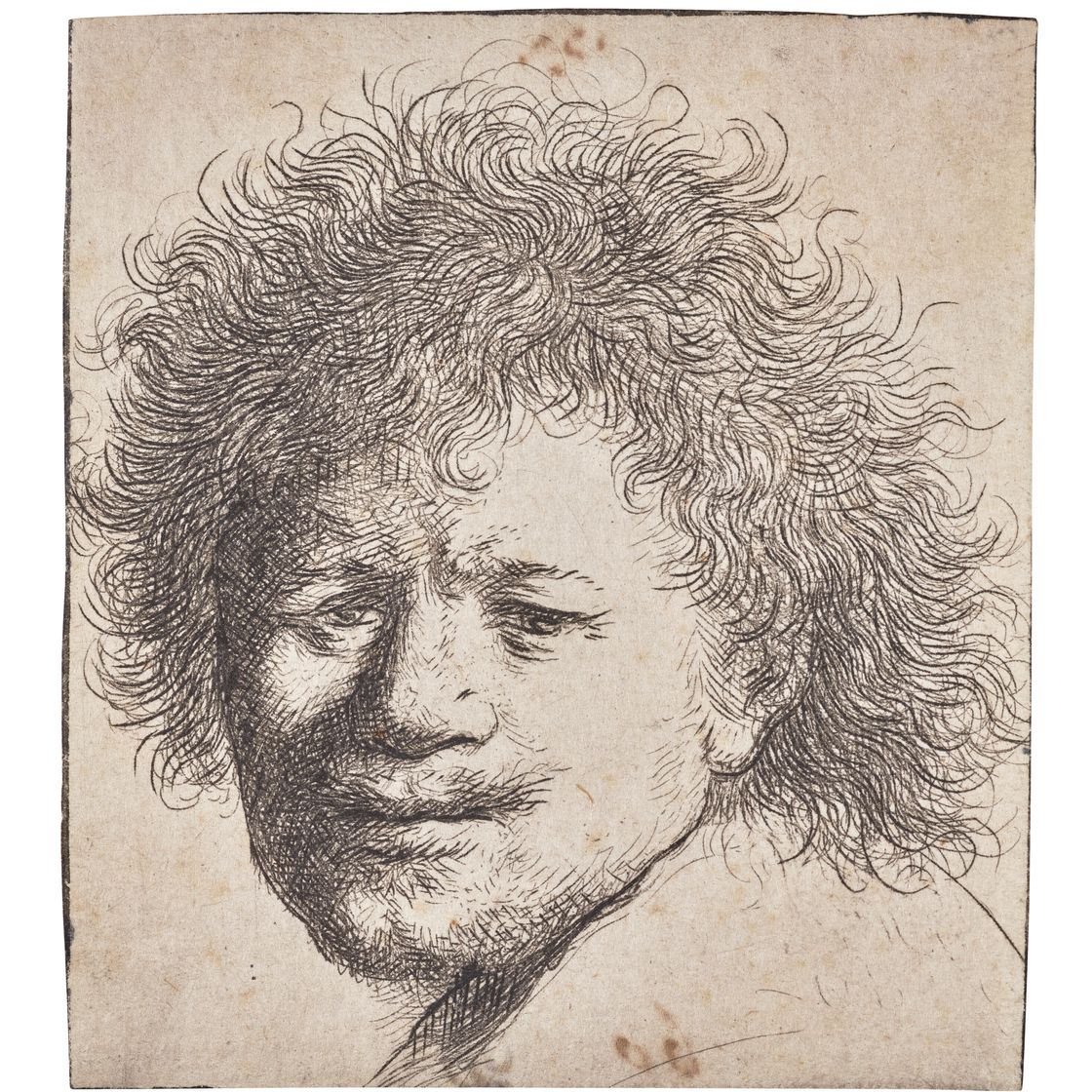 Rembrandt van Rijn — Автопортрет с длинными густыми волосами: только голова