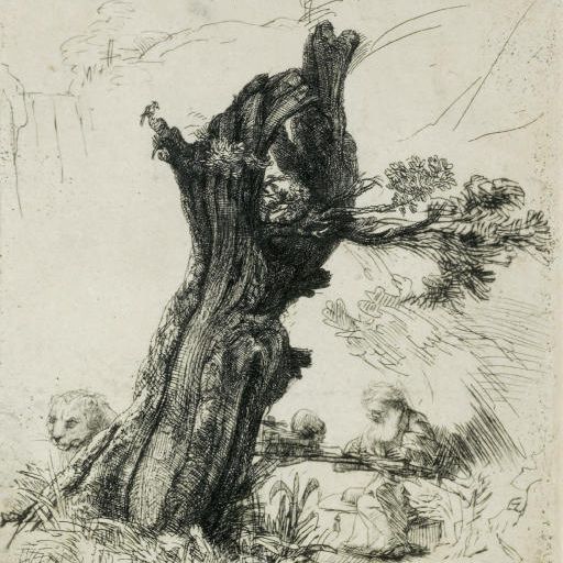Rembrandt van Rijn — Святой Иероним у ивы Полларда (Б., Зал. 103; Н. 232)