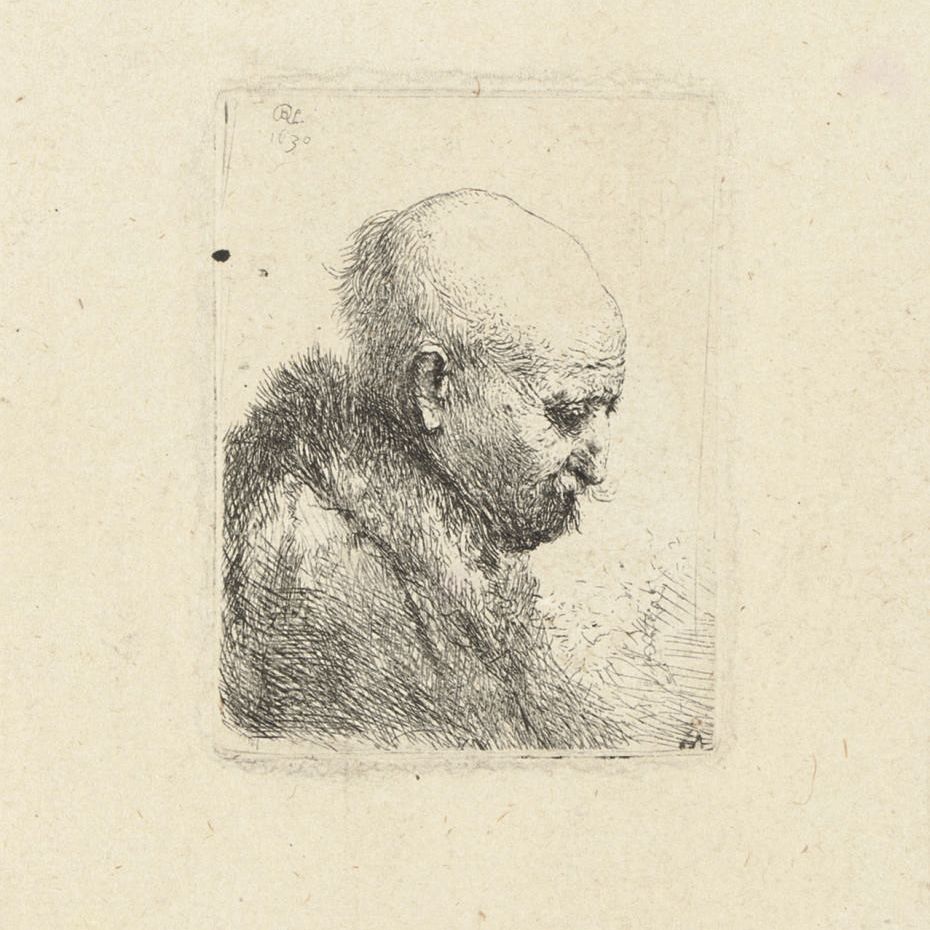 Rembrandt van Rijn — Лысый мужчина в профиль справа: Небольшой бюст; Отец художника (?) (Б., Зал. 294а; Н. 24)