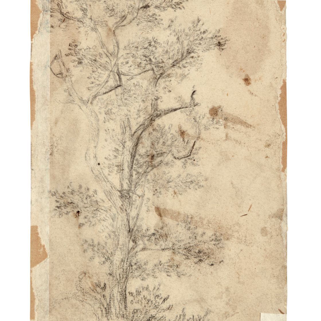 Rembrandt van Rijn — Молодой человек, играющий в профиль (сзади) ; Этюд по искусству (сзади), изображение 2