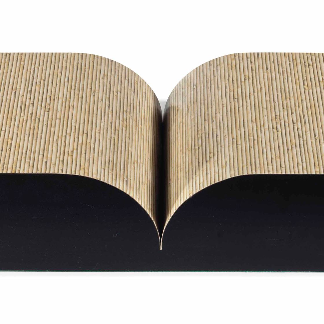 Richard Artschwager — Книга