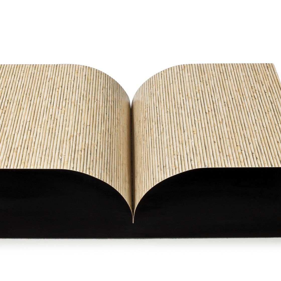 Richard Artschwager — Книга