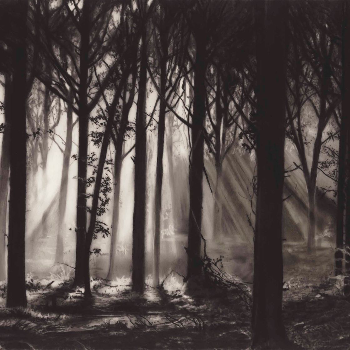 Robert Longo — Этюд для Блэка Форреста