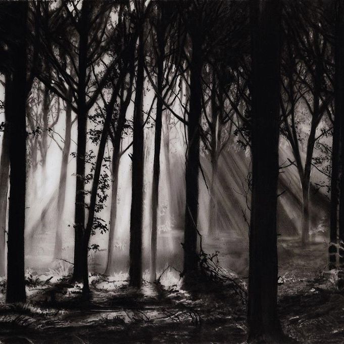 Robert Longo — Учеба в Шварцвальде
