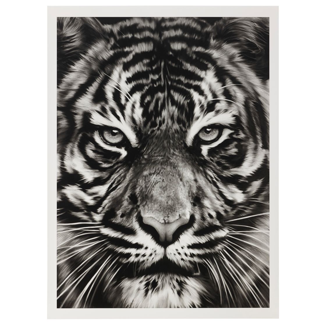 Robert Longo — Без названия (Лев)