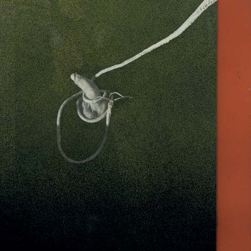 Robert Mapplethorpe — Без названия