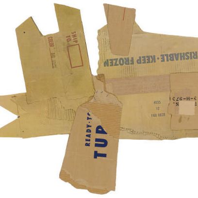 Robert Rauschenberg — Cardbird V (Близнецы 307)