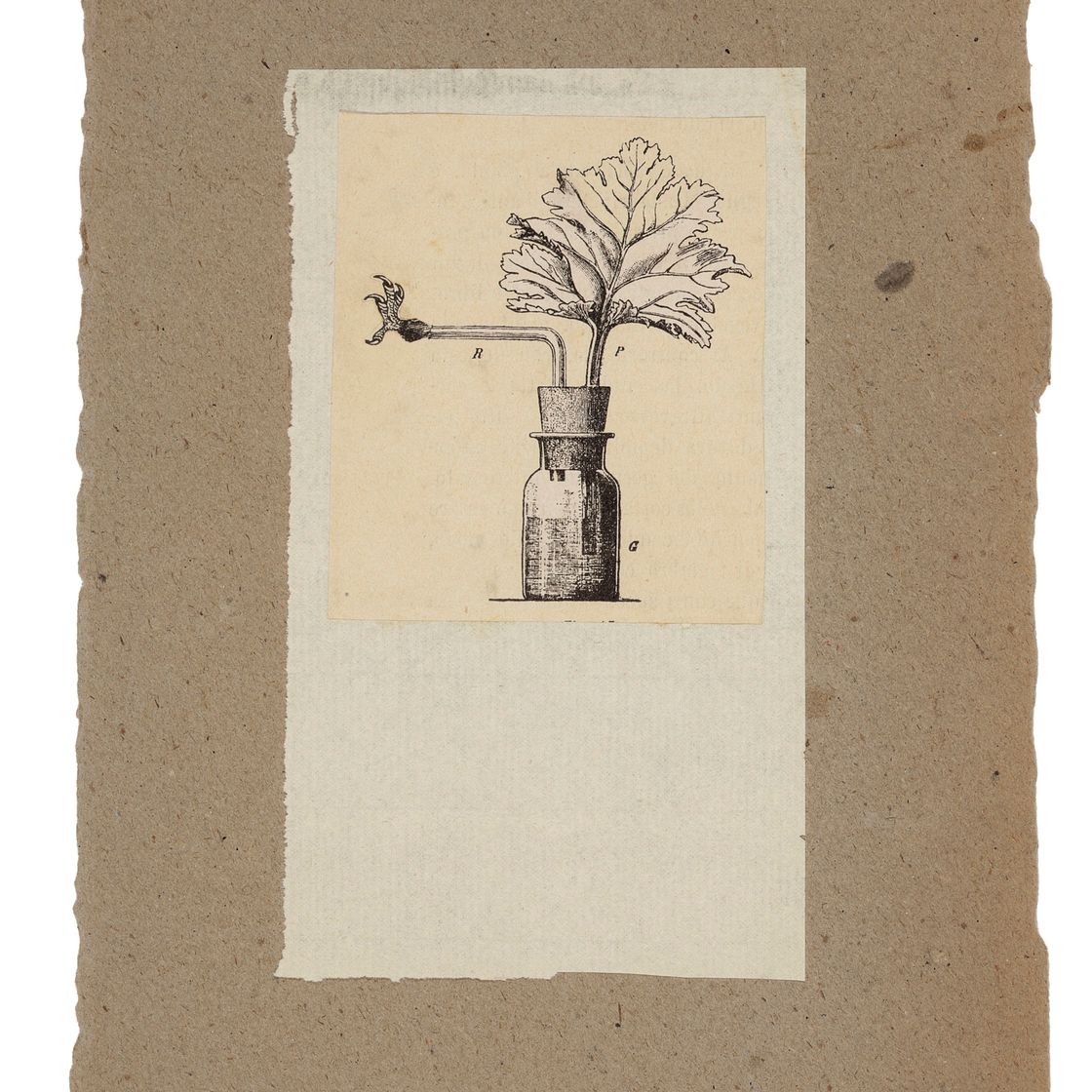 Robert Rauschenberg — Без названия [закупоренная бутылка]