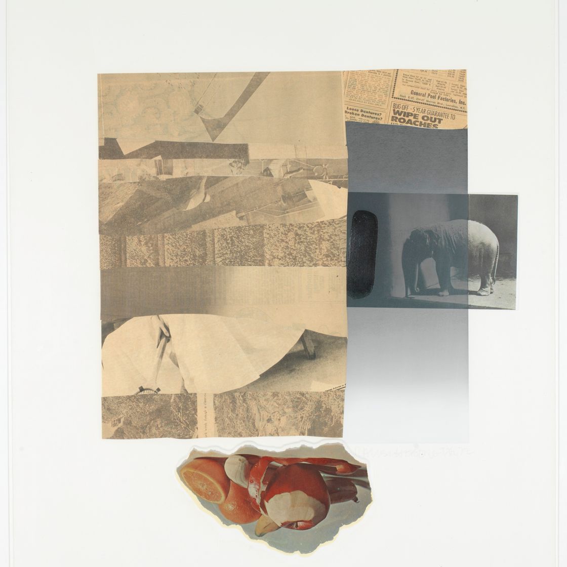 Robert Rauschenberg — Тринадцать серий конских перьев : шесть пластин, изображение 4
