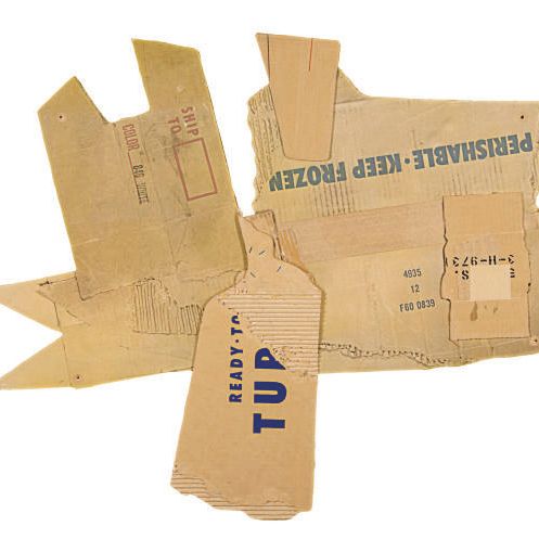 Robert Rauschenberg — Cardbird V, из серии Cardbird (G. 307)