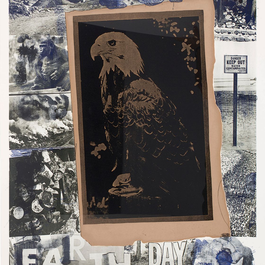 Robert Rauschenberg — день земли