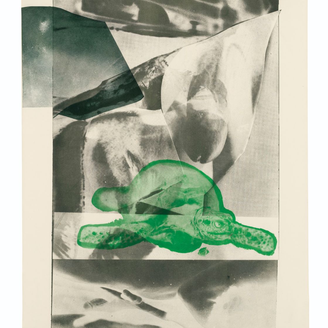 Robert Rauschenberg — Залив