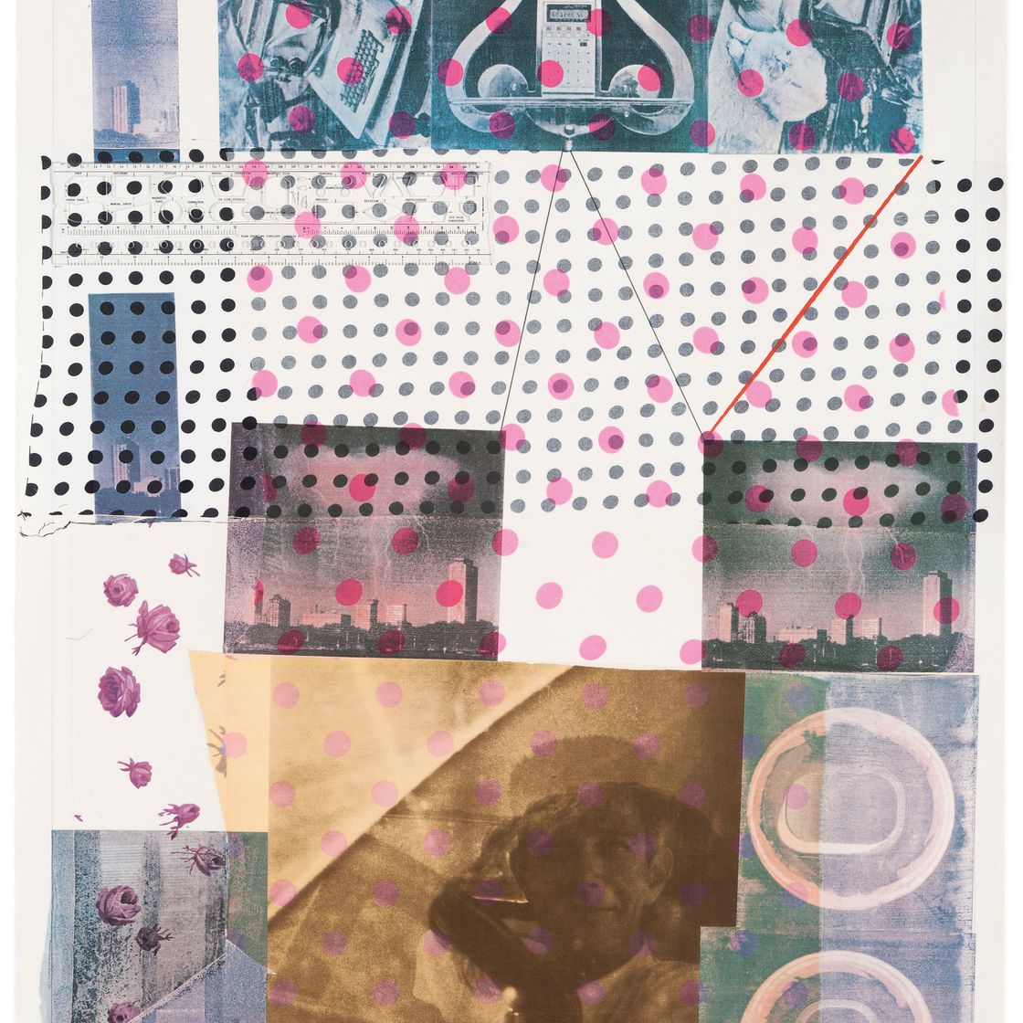 Robert Rauschenberg — Клетка